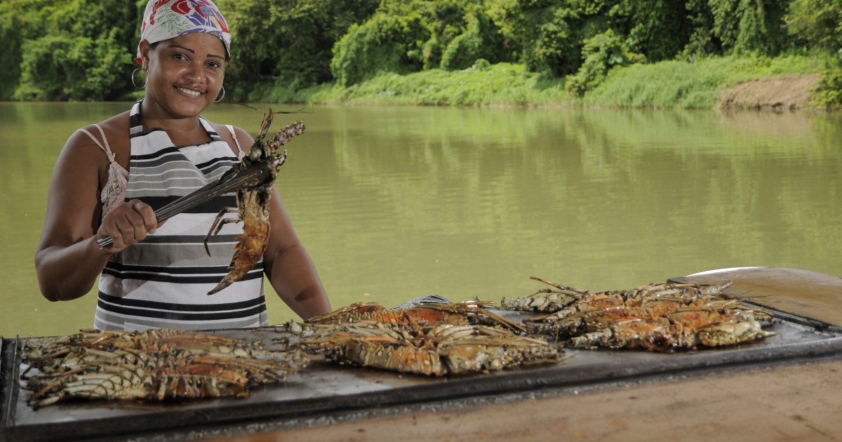 From Punta Cana: VIP Full-Day Tour to Hispaniola Island